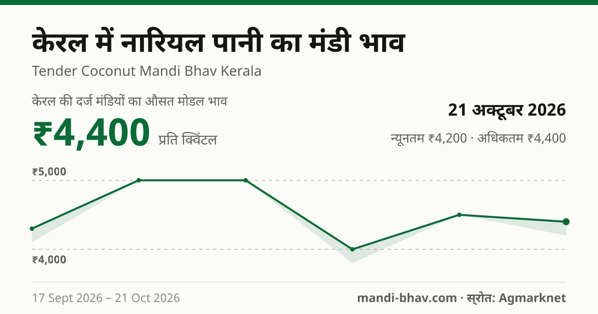केरल में नारियल पानी का मंडी भाव 21 अक्टूबर 2026: औसत मोडल ₹4,400 प्रति क्विंटल, भाव के रुझान का चार्ट