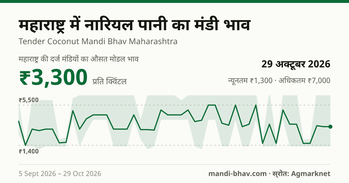 महाराष्ट्र में नारियल पानी का मंडी भाव 29 अक्टूबर 2026: औसत मोडल ₹1,600 प्रति क्विंटल, भाव के रुझान का चार्ट