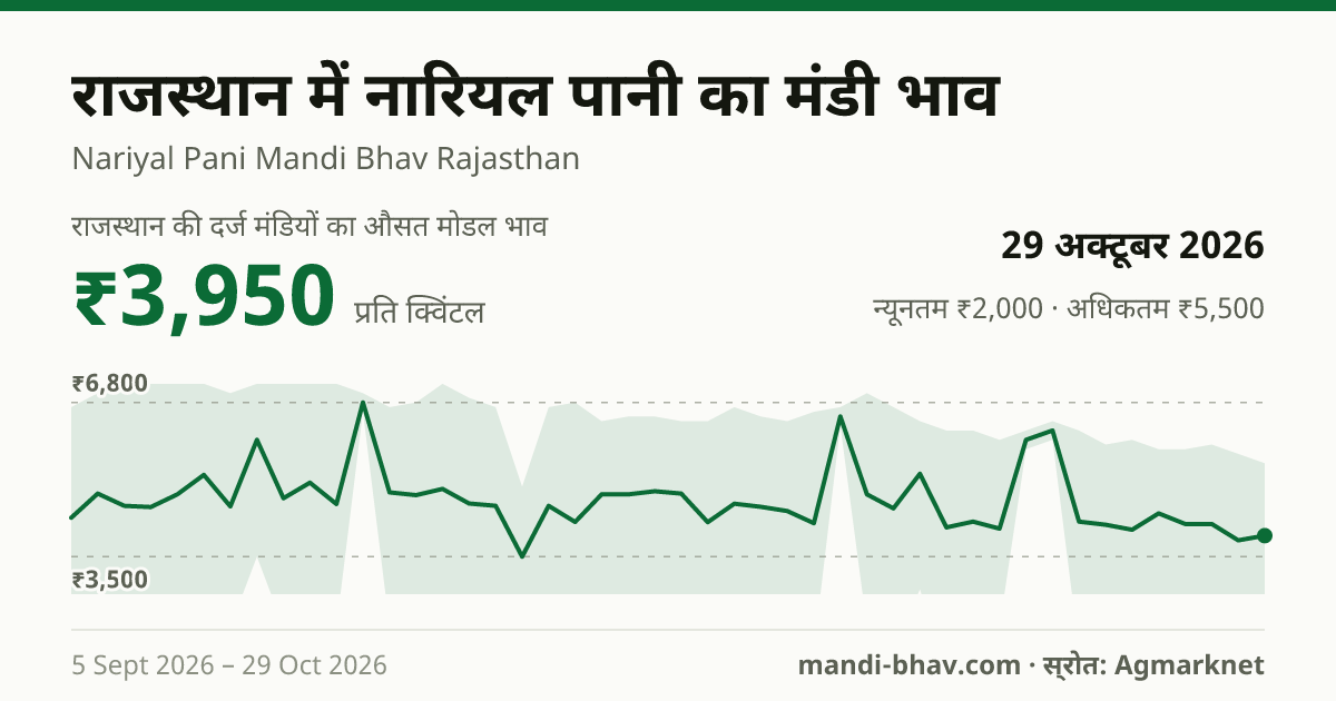 राजस्थान में नारियल पानी का मंडी भाव 29 अक्टूबर 2026: औसत मोडल ₹3,950 प्रति क्विंटल, भाव के रुझान का चार्ट