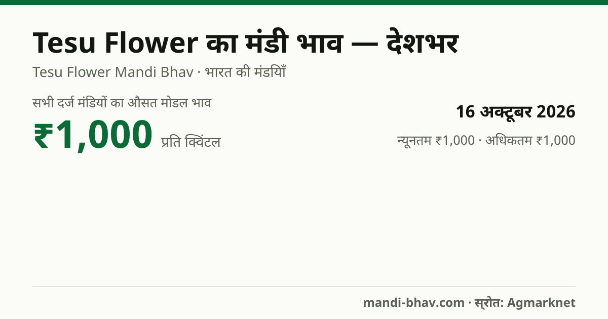देशभर में Tesu Flower का मंडी भाव 16 अक्टूबर 2026: औसत मोडल ₹1,000 प्रति क्विंटल, भाव के रुझान का चार्ट