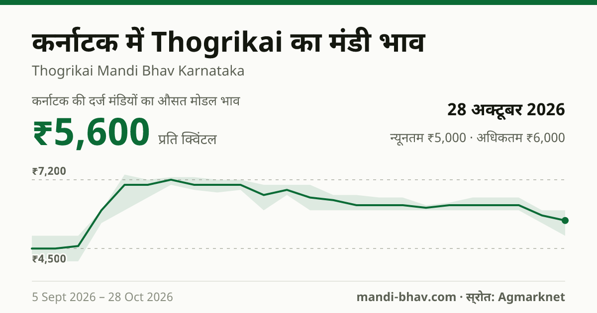 कर्नाटक में Thogrikai का मंडी भाव 28 अक्टूबर 2026: औसत मोडल ₹5,600 प्रति क्विंटल, भाव के रुझान का चार्ट