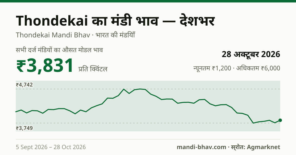 देशभर में Thondekai का मंडी भाव 28 अक्टूबर 2026: औसत मोडल ₹3,831 प्रति क्विंटल, भाव के रुझान का चार्ट