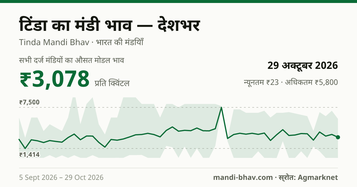 देशभर में टिंडा का मंडी भाव 29 अक्टूबर 2026: औसत मोडल ₹2,909 प्रति क्विंटल, भाव के रुझान का चार्ट