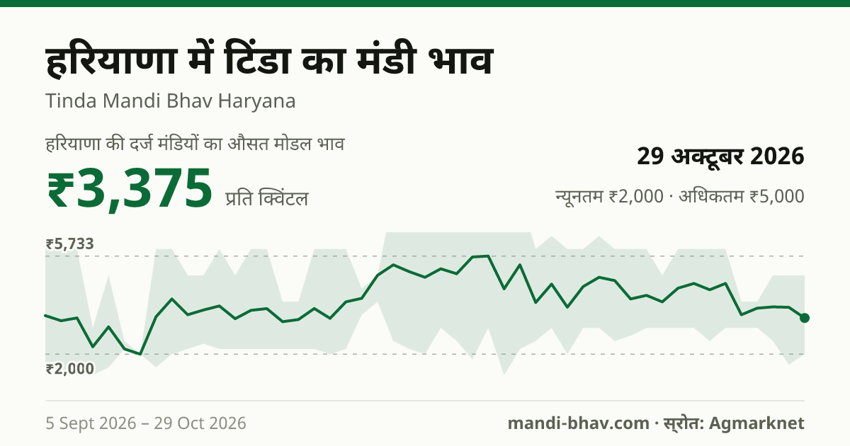 हरियाणा में टिंडा का मंडी भाव 29 अक्टूबर 2026: औसत मोडल ₹3,375 प्रति क्विंटल, भाव के रुझान का चार्ट