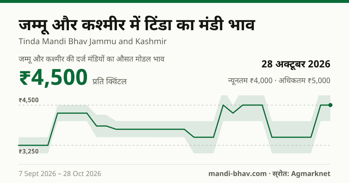 जम्मू और कश्मीर में टिंडा का मंडी भाव 28 अक्टूबर 2026: औसत मोडल ₹4,500 प्रति क्विंटल, भाव के रुझान का चार्ट