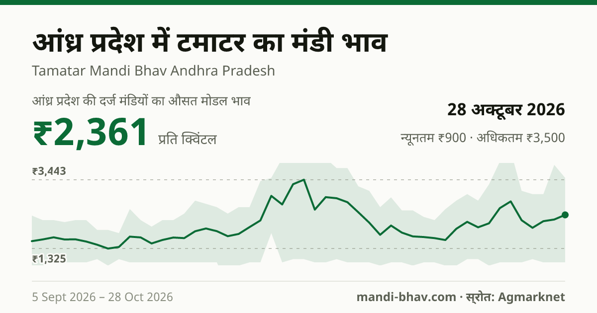 आंध्र प्रदेश में टमाटर का मंडी भाव 28 अक्टूबर 2026: औसत मोडल ₹2,361 प्रति क्विंटल, भाव के रुझान का चार्ट
