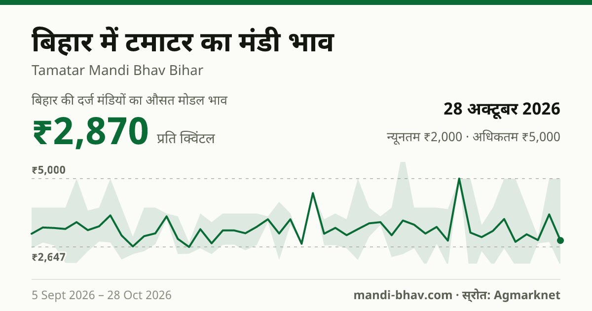 बिहार में टमाटर का मंडी भाव 28 अक्टूबर 2026: औसत मोडल ₹2,870 प्रति क्विंटल, भाव के रुझान का चार्ट