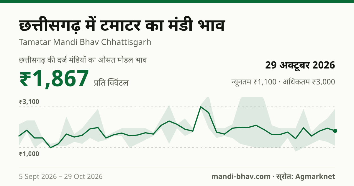छत्तीसगढ़ में टमाटर का मंडी भाव 29 अक्टूबर 2026: औसत मोडल ₹1,550 प्रति क्विंटल, भाव के रुझान का चार्ट
