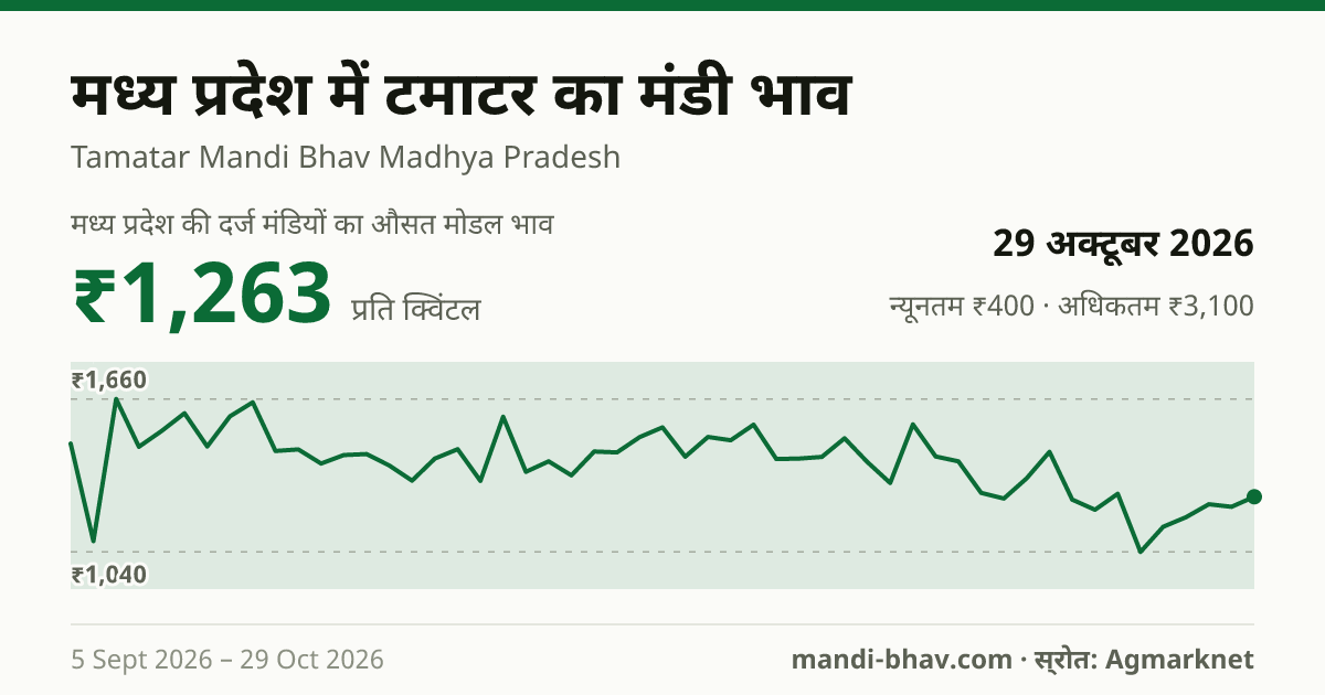 मध्य प्रदेश में टमाटर का मंडी भाव 29 अक्टूबर 2026: औसत मोडल ₹1,200 प्रति क्विंटल, भाव के रुझान का चार्ट
