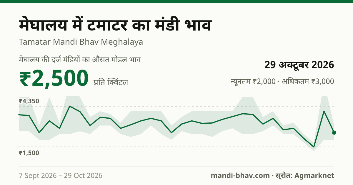 मेघालय में टमाटर का मंडी भाव 29 अक्टूबर 2026: औसत मोडल ₹2,500 प्रति क्विंटल, भाव के रुझान का चार्ट