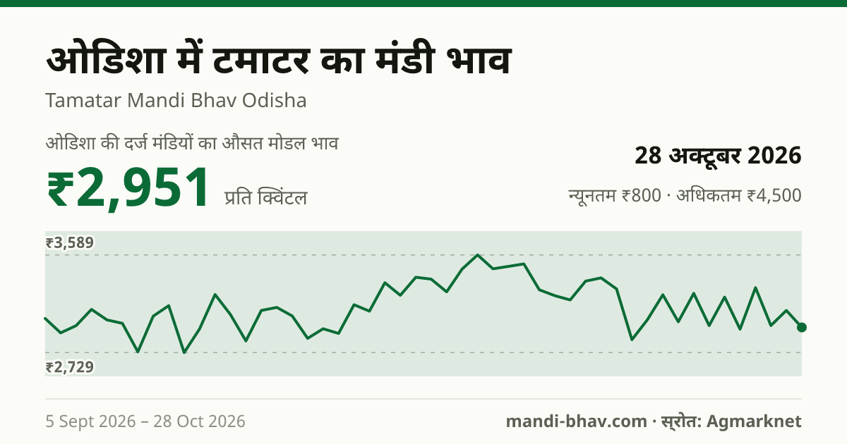ओडिशा में टमाटर का मंडी भाव 28 अक्टूबर 2026: औसत मोडल ₹2,951 प्रति क्विंटल, भाव के रुझान का चार्ट