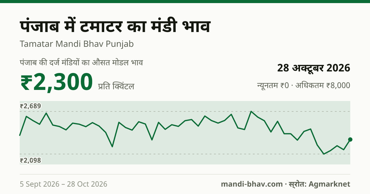 पंजाब में टमाटर का मंडी भाव 28 अक्टूबर 2026: औसत मोडल ₹2,300 प्रति क्विंटल, भाव के रुझान का चार्ट