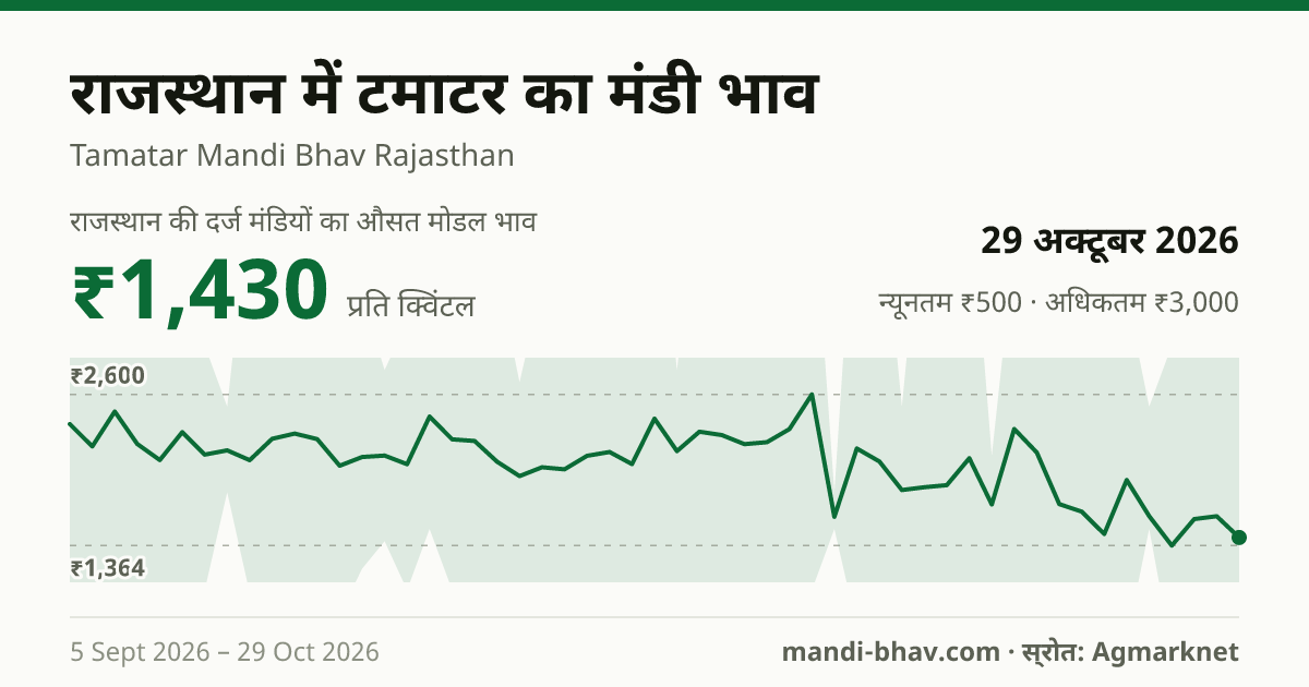 राजस्थान में टमाटर का मंडी भाव 29 अक्टूबर 2026: औसत मोडल ₹1,250 प्रति क्विंटल, भाव के रुझान का चार्ट