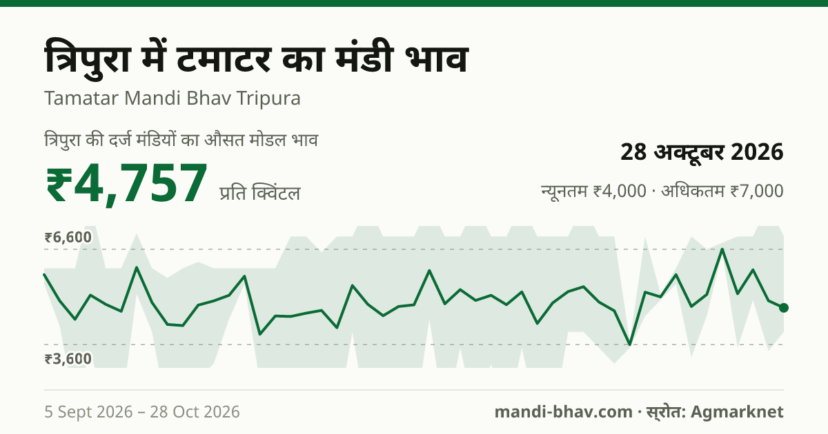 त्रिपुरा में टमाटर का मंडी भाव 28 अक्टूबर 2026: औसत मोडल ₹4,757 प्रति क्विंटल, भाव के रुझान का चार्ट