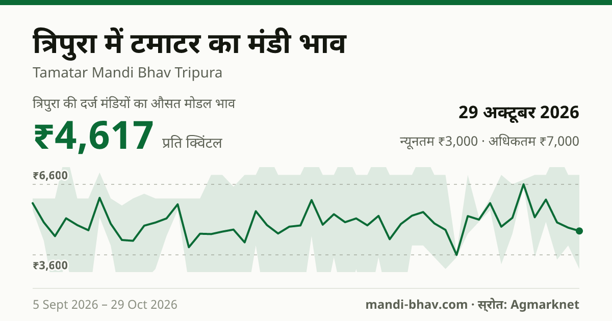 त्रिपुरा में टमाटर का मंडी भाव 29 अक्टूबर 2026: औसत मोडल ₹4,750 प्रति क्विंटल, भाव के रुझान का चार्ट