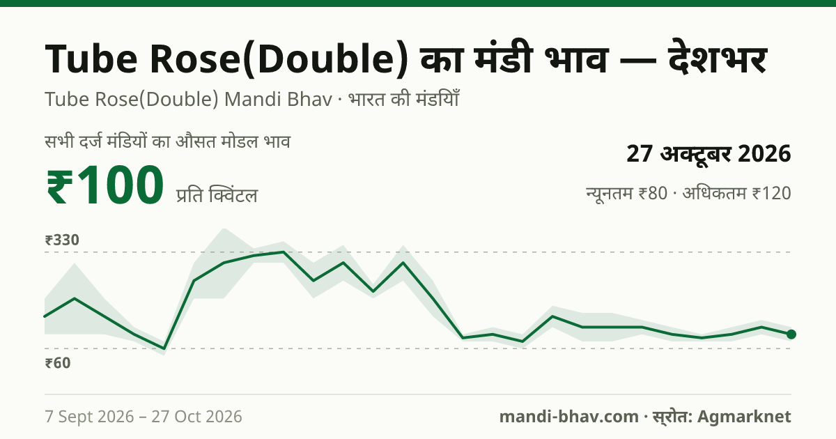देशभर में Tube Rose(Double) का मंडी भाव 27 अक्टूबर 2026: औसत मोडल ₹100 प्रति क्विंटल, भाव के रुझान का चार्ट