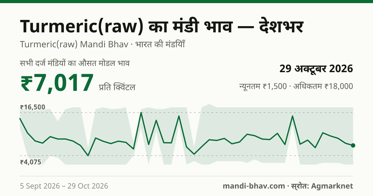 देशभर में Turmeric(raw) का मंडी भाव 29 अक्टूबर 2026: औसत मोडल ₹9,063 प्रति क्विंटल, भाव के रुझान का चार्ट