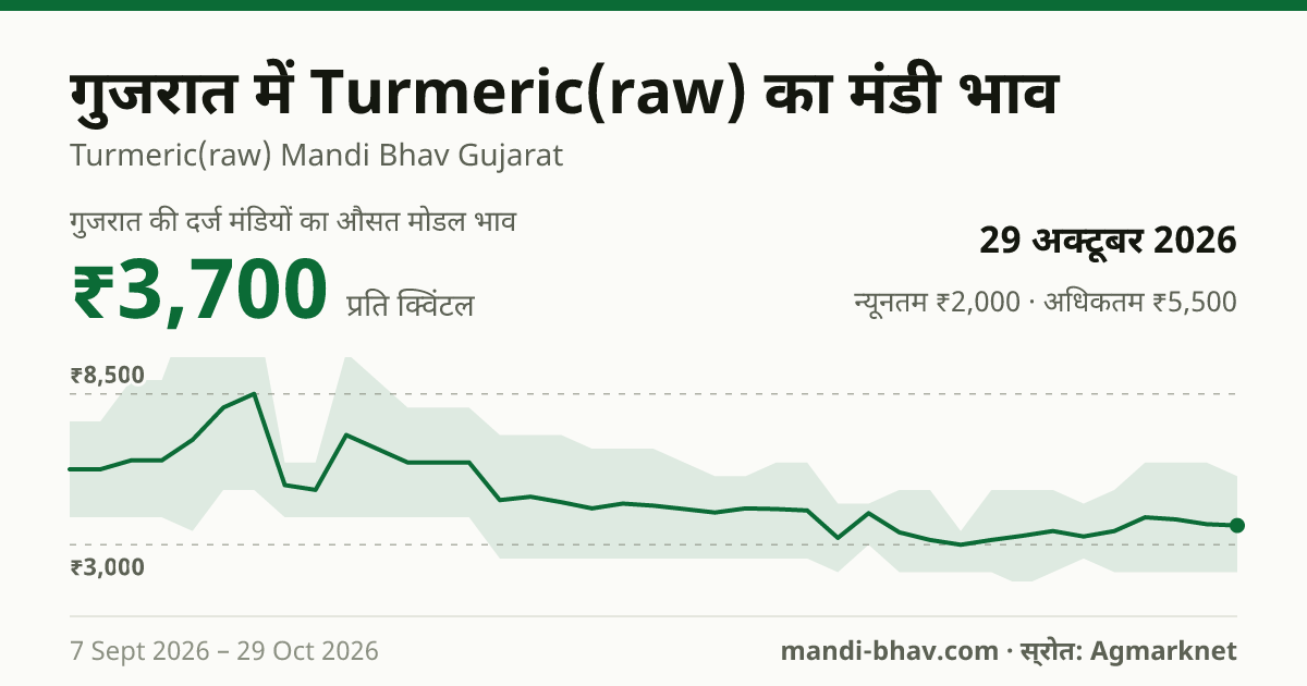 गुजरात में Turmeric(raw) का मंडी भाव 29 अक्टूबर 2026: औसत मोडल ₹3,700 प्रति क्विंटल, भाव के रुझान का चार्ट