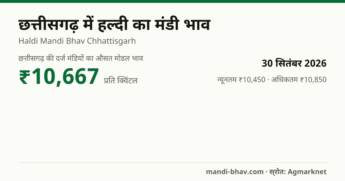 छत्तीसगढ़ में हल्दी का मंडी भाव 30 सितंबर 2026: औसत मोडल ₹10,667 प्रति क्विंटल, भाव के रुझान का चार्ट
