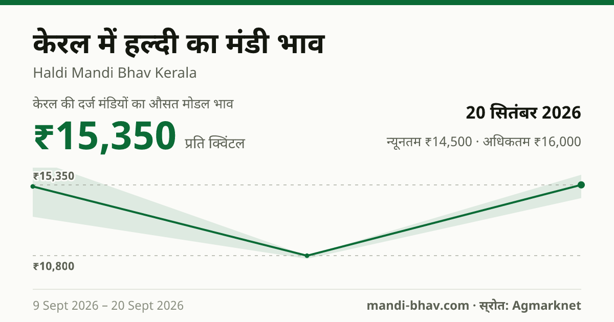 केरल में हल्दी का मंडी भाव 20 सितंबर 2026: औसत मोडल ₹15,350 प्रति क्विंटल, भाव के रुझान का चार्ट