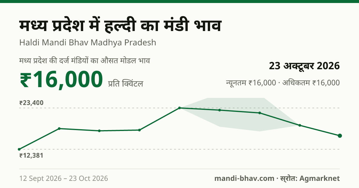 मध्य प्रदेश में हल्दी का मंडी भाव 23 अक्टूबर 2026: औसत मोडल ₹16,000 प्रति क्विंटल, भाव के रुझान का चार्ट