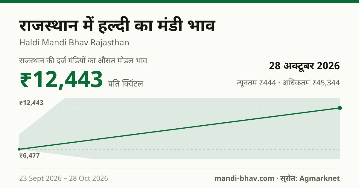 राजस्थान में हल्दी का मंडी भाव 28 अक्टूबर 2026: औसत मोडल ₹12,443 प्रति क्विंटल, भाव के रुझान का चार्ट