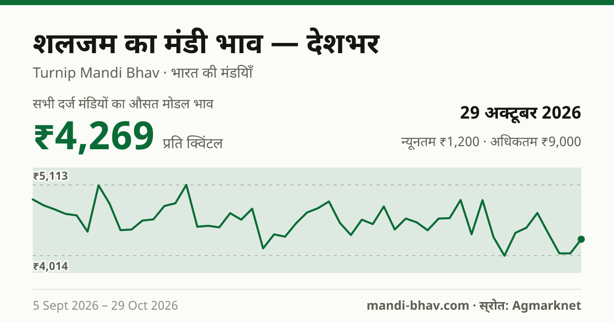 देशभर में शलजम का मंडी भाव 29 अक्टूबर 2026: औसत मोडल ₹4,975 प्रति क्विंटल, भाव के रुझान का चार्ट