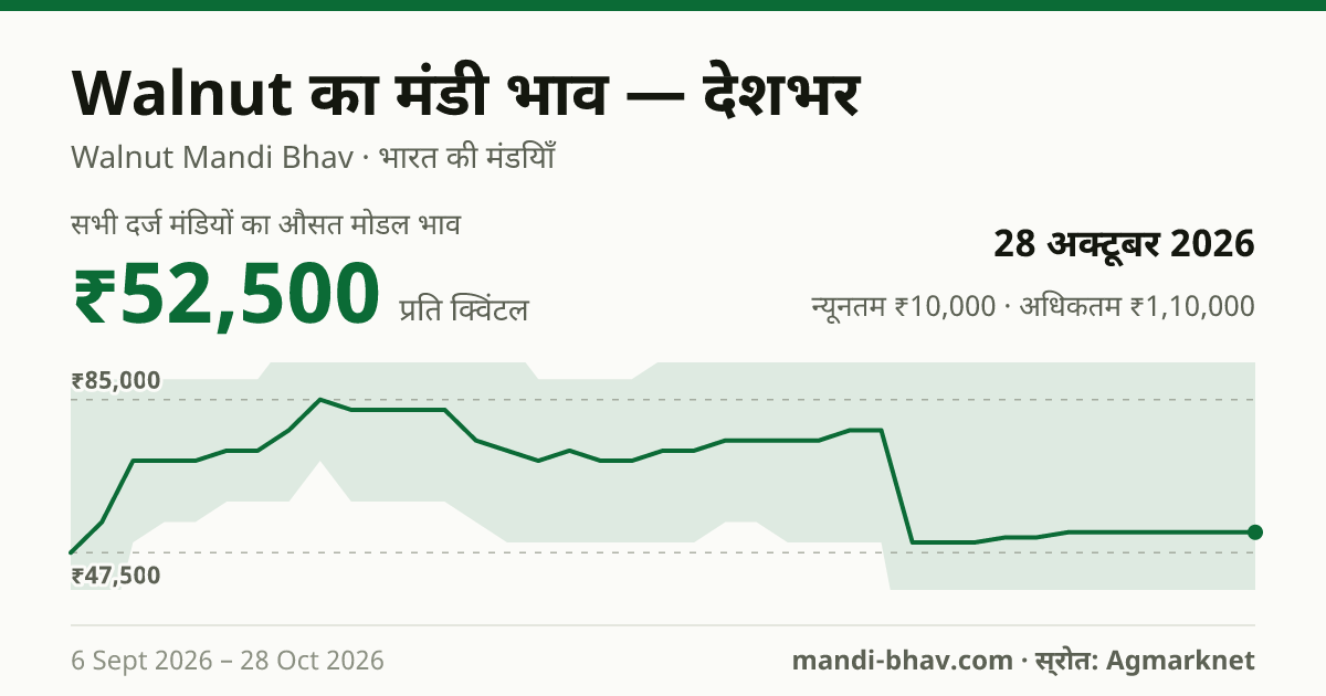 देशभर में Walnut का मंडी भाव 28 अक्टूबर 2026: औसत मोडल ₹52,500 प्रति क्विंटल, भाव के रुझान का चार्ट