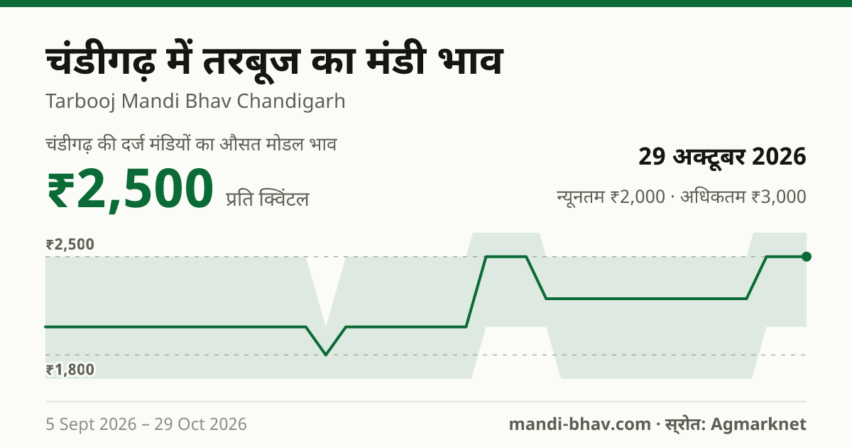 चंडीगढ़ में तरबूज का मंडी भाव 29 अक्टूबर 2026: औसत मोडल ₹2,500 प्रति क्विंटल, भाव के रुझान का चार्ट