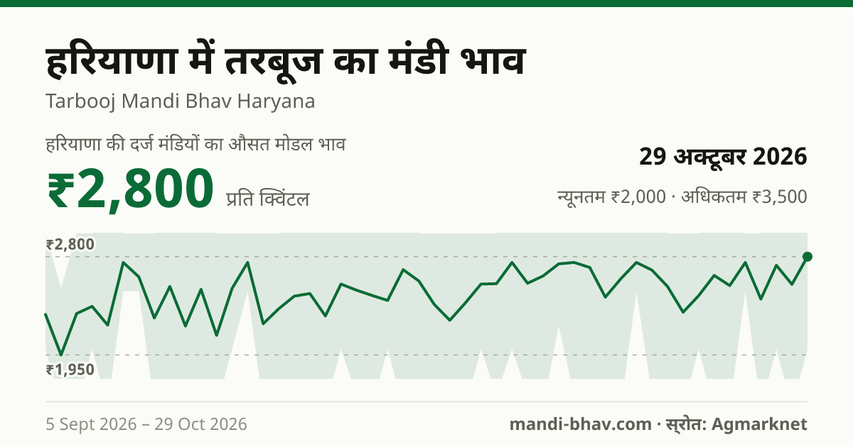 हरियाणा में तरबूज का मंडी भाव 29 अक्टूबर 2026: औसत मोडल ₹2,800 प्रति क्विंटल, भाव के रुझान का चार्ट