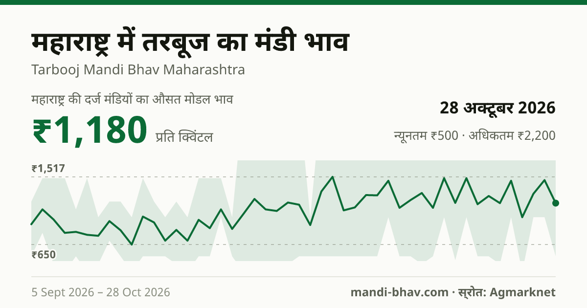 महाराष्ट्र में तरबूज का मंडी भाव 28 अक्टूबर 2026: औसत मोडल ₹1,180 प्रति क्विंटल, भाव के रुझान का चार्ट