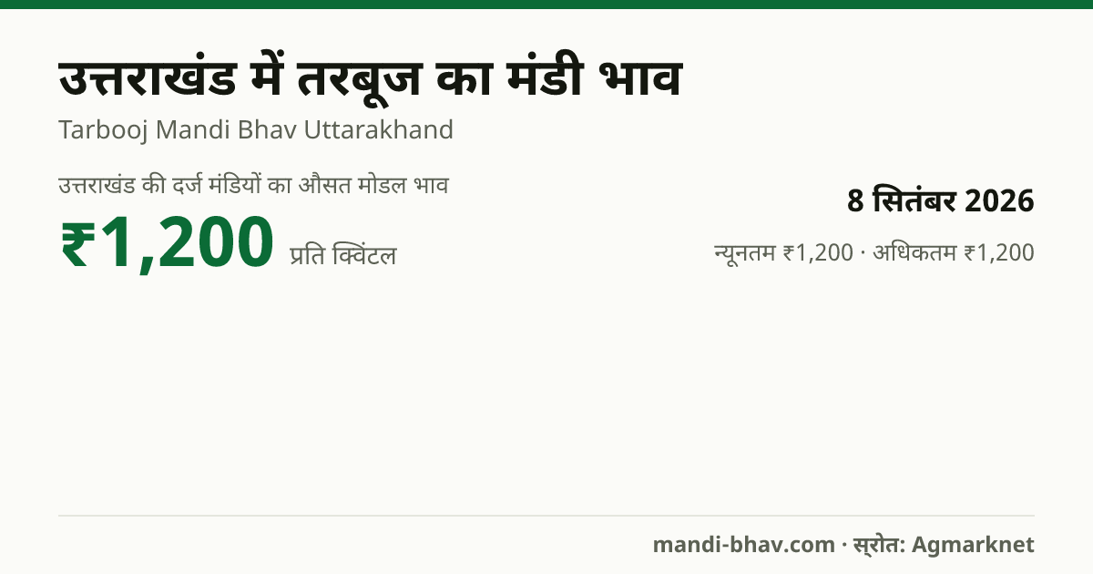 उत्तराखंड में तरबूज का मंडी भाव 8 सितंबर 2026: औसत मोडल ₹1,200 प्रति क्विंटल, भाव के रुझान का चार्ट