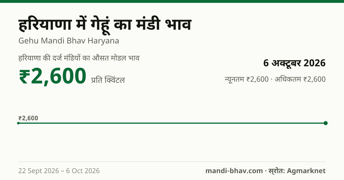 हरियाणा में गेहूं का मंडी भाव 6 अक्टूबर 2026: औसत मोडल ₹2,600 प्रति क्विंटल, भाव के रुझान का चार्ट