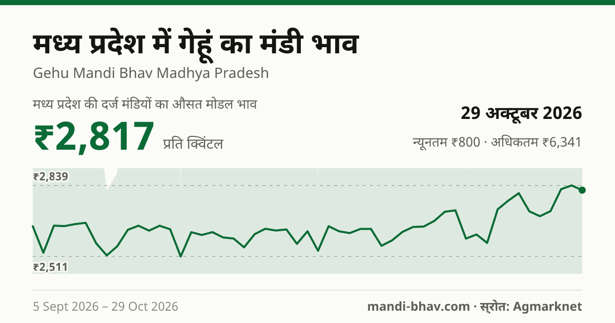 मध्य प्रदेश में गेहूं का मंडी भाव 29 अक्टूबर 2026: औसत मोडल ₹2,817 प्रति क्विंटल, भाव के रुझान का चार्ट