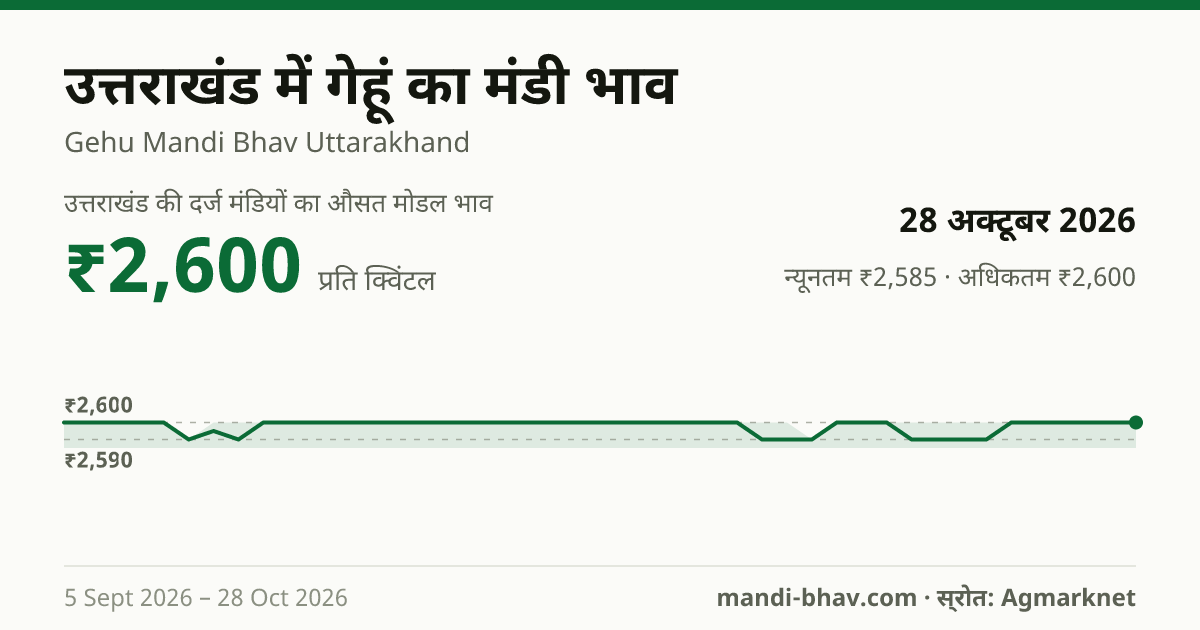 उत्तराखंड में गेहूं का मंडी भाव 28 अक्टूबर 2026: औसत मोडल ₹2,600 प्रति क्विंटल, भाव के रुझान का चार्ट