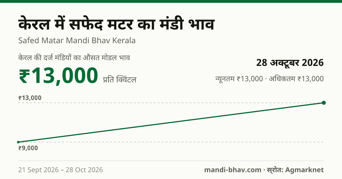 केरल में White Peas का मंडी भाव 28 अक्टूबर 2026: औसत मोडल ₹13,000 प्रति क्विंटल, भाव के रुझान का चार्ट