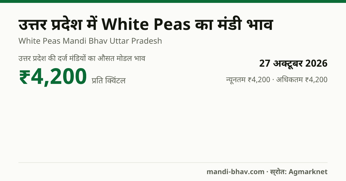 उत्तर प्रदेश में White Peas का मंडी भाव 27 अक्टूबर 2026: औसत मोडल ₹4,200 प्रति क्विंटल, भाव के रुझान का चार्ट