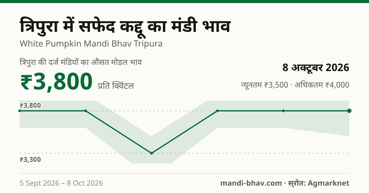 त्रिपुरा में सफेद कद्दू का मंडी भाव 8 अक्टूबर 2026: औसत मोडल ₹3,800 प्रति क्विंटल, भाव के रुझान का चार्ट