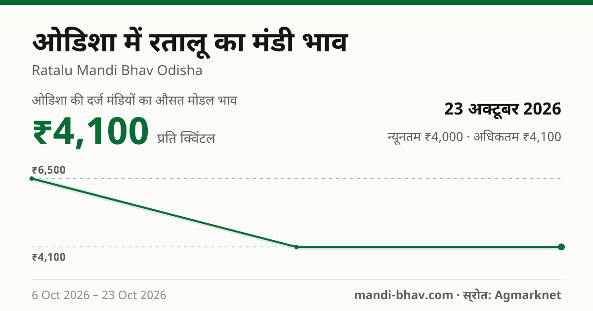 ओडिशा में रतालू का मंडी भाव 23 अक्टूबर 2026: औसत मोडल ₹4,100 प्रति क्विंटल, भाव के रुझान का चार्ट