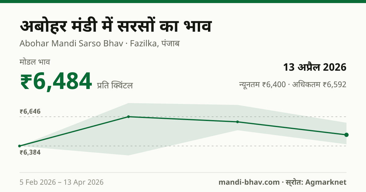 अबोहर मंडी में सरसों का भाव 13 अप्रैल 2026: मोडल ₹6,484 प्रति क्विंटल, भाव के रुझान का चार्ट