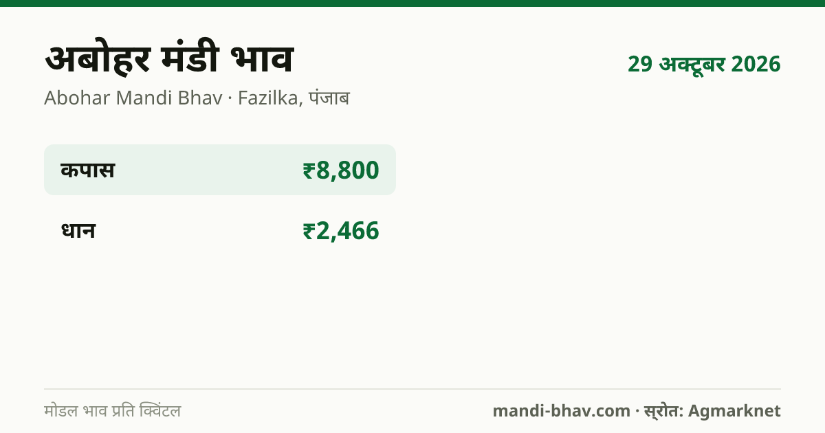 अबोहर मंडी भाव 29 अक्टूबर 2026: फसलवार मोडल रेट प्रति क्विंटल