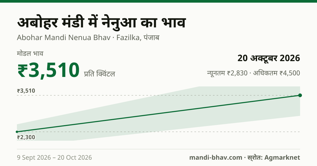 अबोहर मंडी में नेनुआ का भाव 20 अक्टूबर 2026: मोडल ₹3,510 प्रति क्विंटल, भाव के रुझान का चार्ट