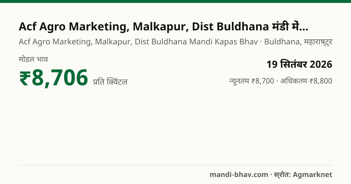 Acf Agro Marketing, Malkapur, Dist Buldhana मंडी में कपास का भाव 19 सितंबर 2026: मोडल ₹8,706 प्रति क्विंटल, भाव के रुझान का चार्ट