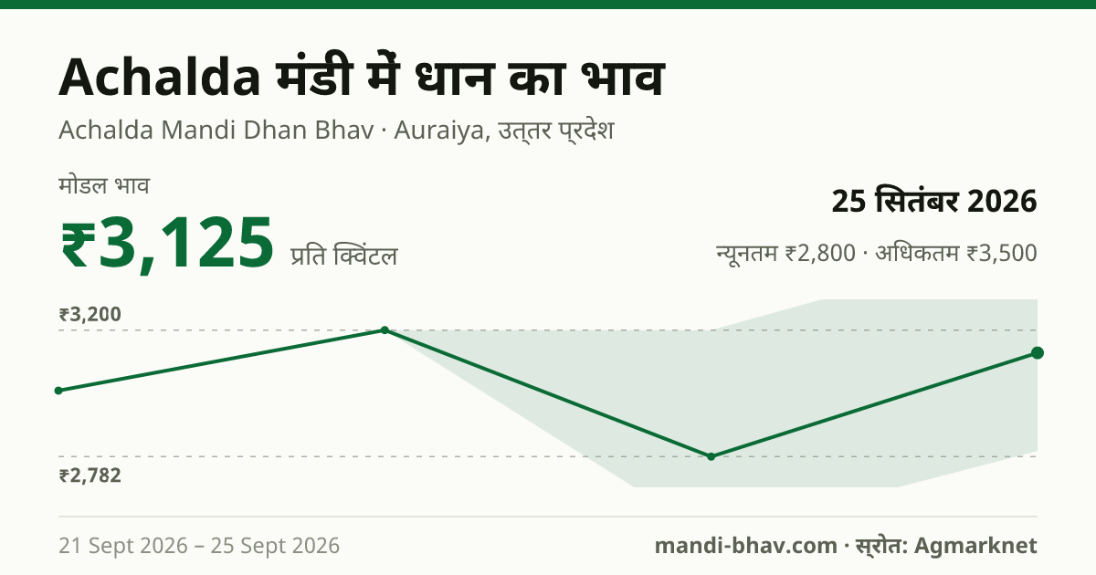 Achalda मंडी में धान का भाव 25 सितंबर 2026: मोडल ₹3,125 प्रति क्विंटल, भाव के रुझान का चार्ट