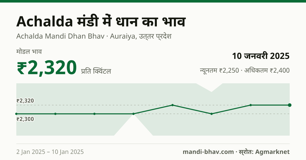 Achalda मंडी में धान का भाव 10 जनवरी 2025: मोडल ₹2,320 प्रति क्विंटल, भाव के रुझान का चार्ट