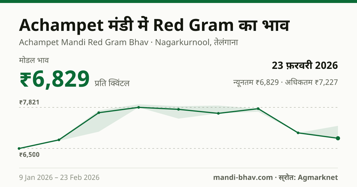 Achampet मंडी में Red Gram का भाव 23 फ़रवरी 2026: मोडल ₹6,829 प्रति क्विंटल, भाव के रुझान का चार्ट