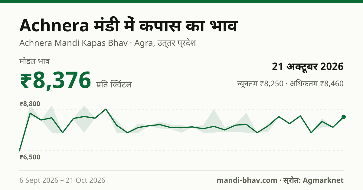 Achnera मंडी में कपास का भाव 21 अक्टूबर 2026: मोडल ₹8,376 प्रति क्विंटल, भाव के रुझान का चार्ट