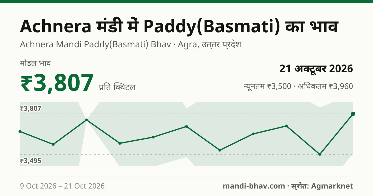 Achnera मंडी में Paddy(Basmati) का भाव 21 अक्टूबर 2026: मोडल ₹3,807 प्रति क्विंटल, भाव के रुझान का चार्ट