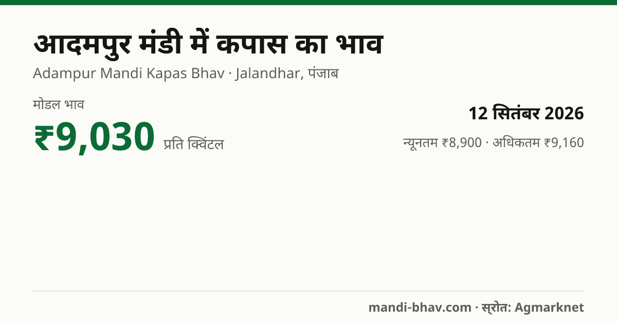 आदमपुर मंडी में कपास का भाव 12 सितंबर 2026: मोडल ₹9,030 प्रति क्विंटल, भाव के रुझान का चार्ट