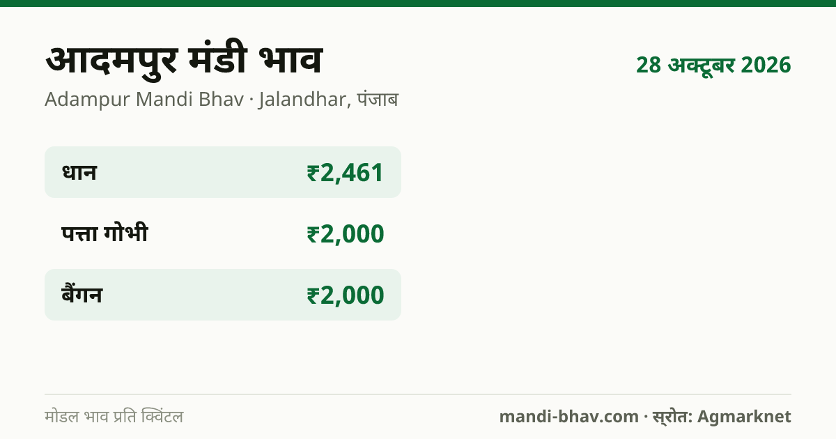 आदमपुर मंडी भाव 28 अक्टूबर 2026: फसलवार मोडल रेट प्रति क्विंटल